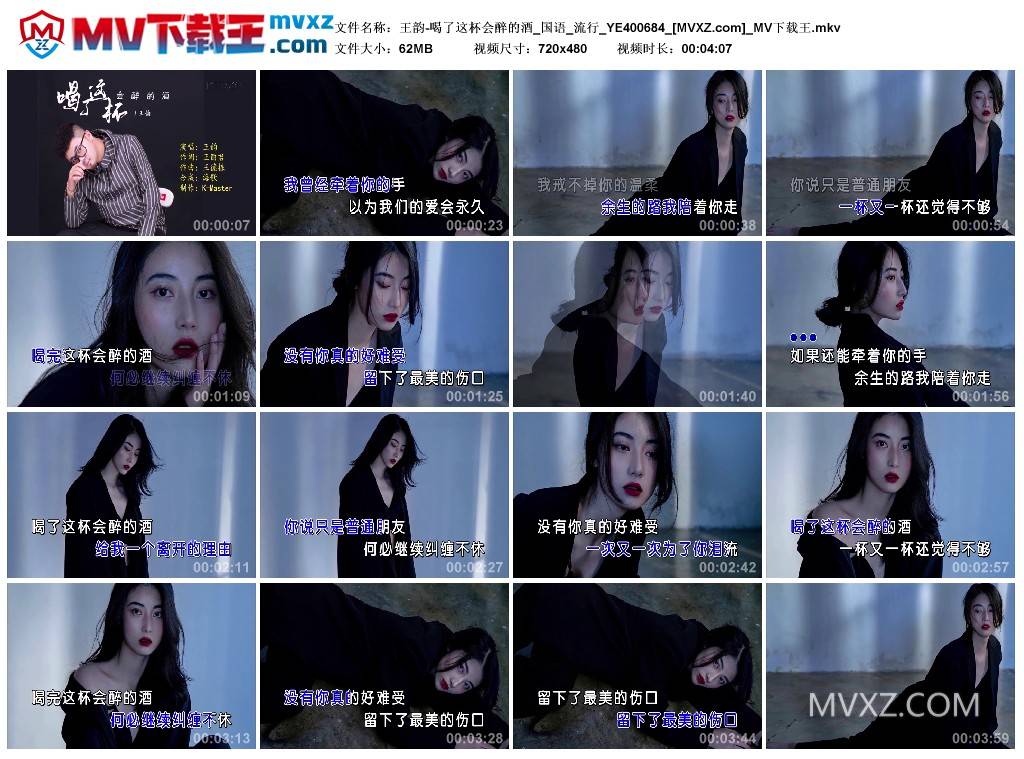 王韵-喝了这杯会醉的酒_国语_流行_YE400684